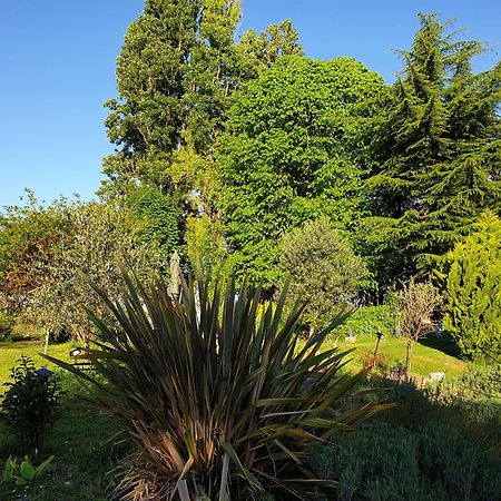 Verneuil-le-ChateauLa Tour Du Raygnier住宿加早餐旅馆 外观 照片